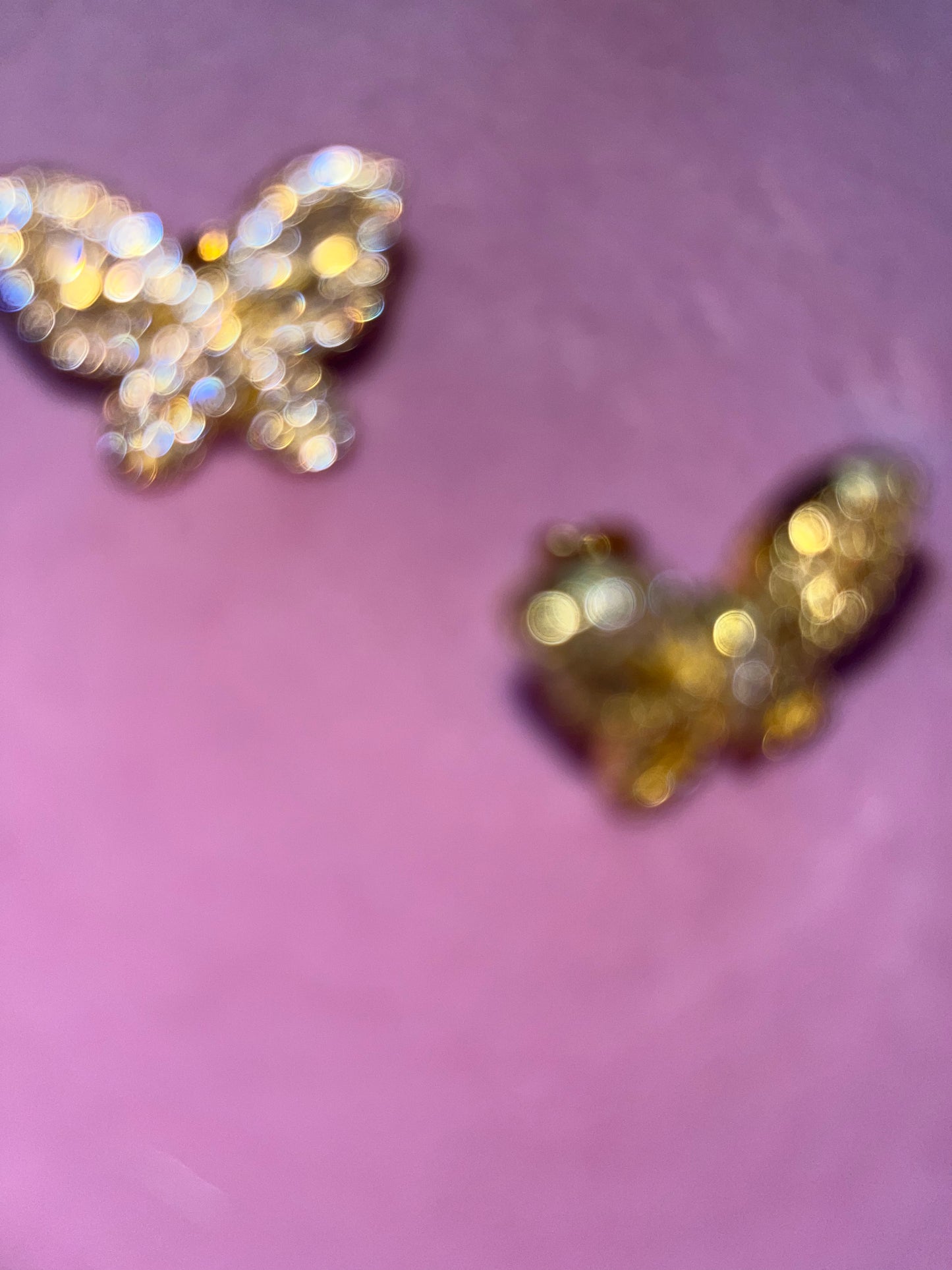 gold icy butterfly studs